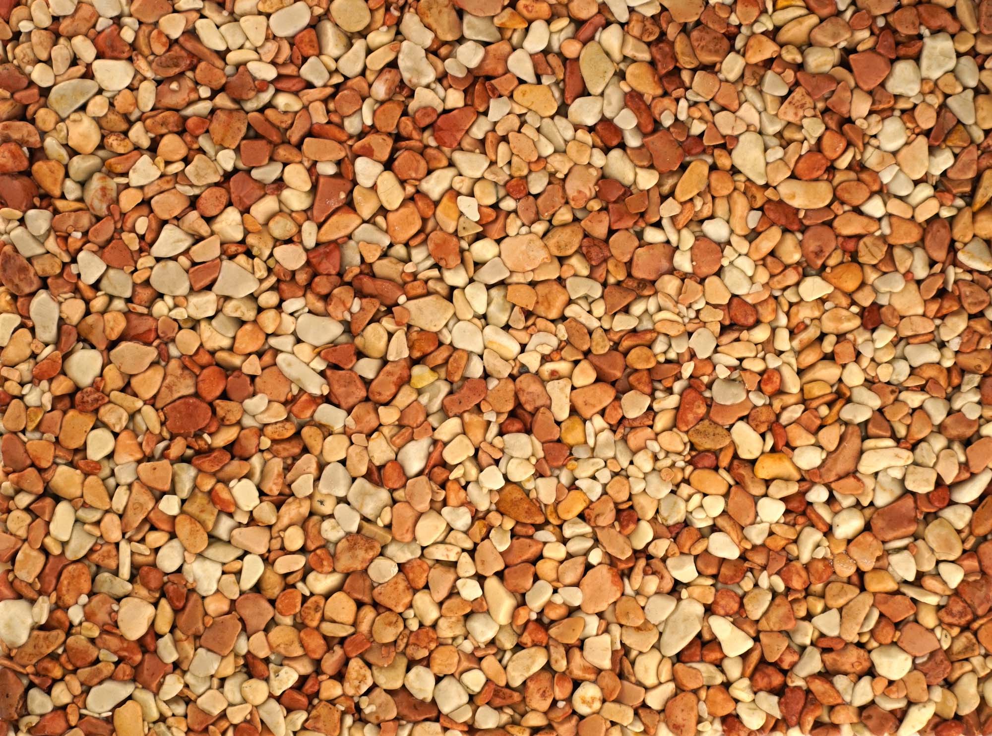 Ciottoli Decorativi
