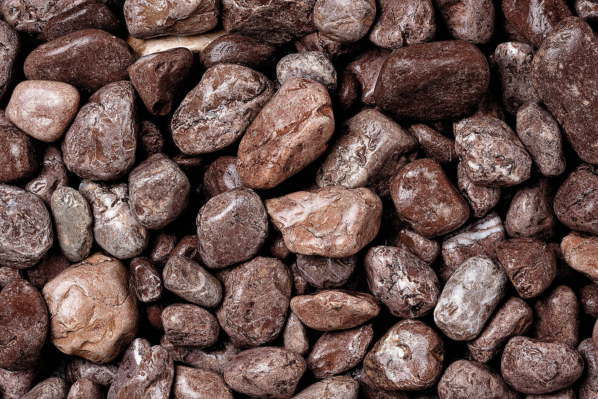 1KG Ciottoli Naturali Neri Lucidati - Pietre Per Piante, Acquari E Decorazioni - Foto 8