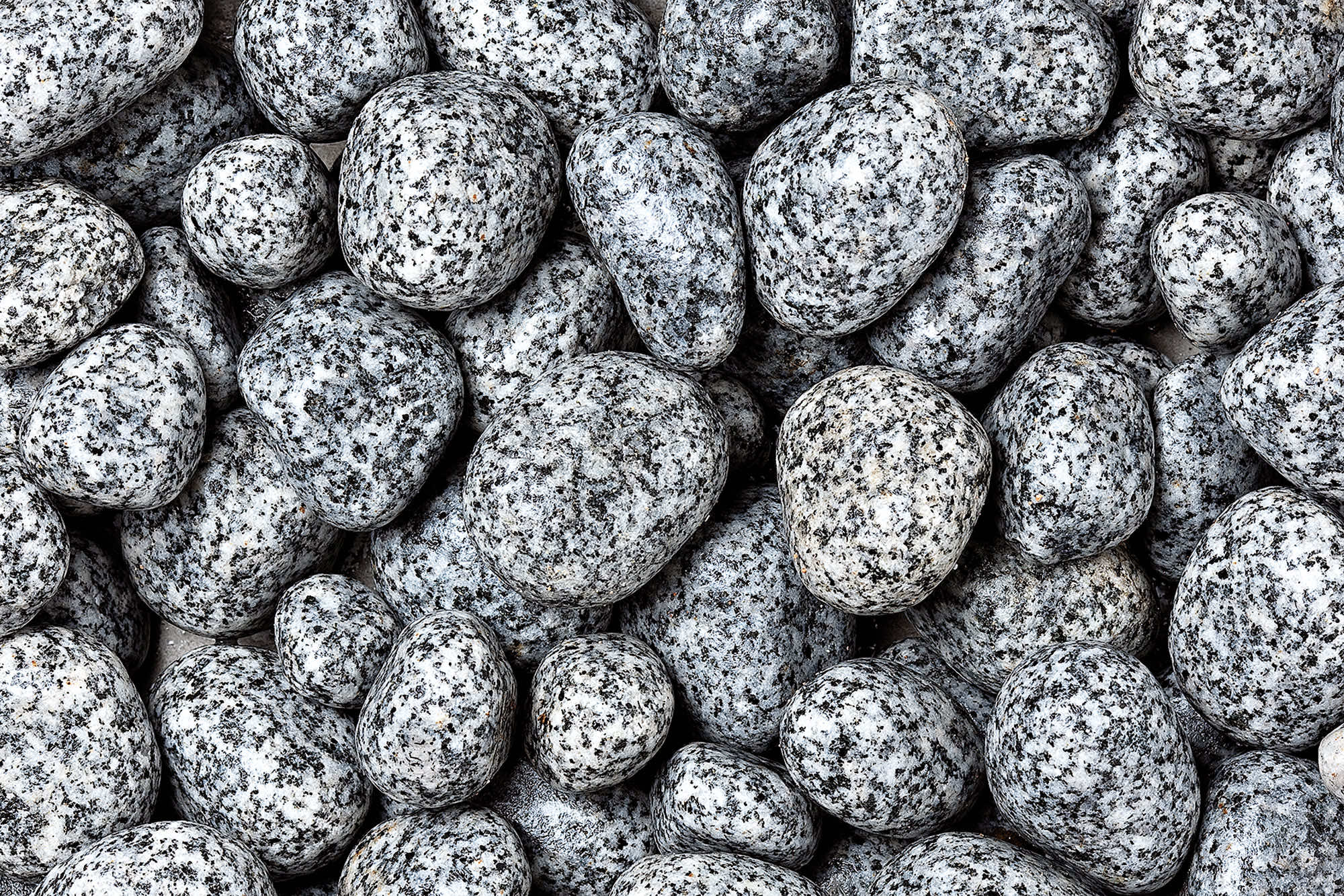 1KG Ciottoli Naturali Neri Lucidati - Pietre Per Piante, Acquari E Decorazioni - Foto 2